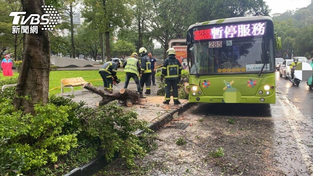 疑雨天視線不佳!公車進站撞倒路樹 占2車道幸無傷