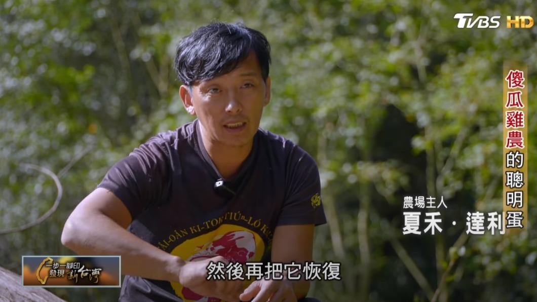 農場主人 夏禾.達利(圖/TVBS)