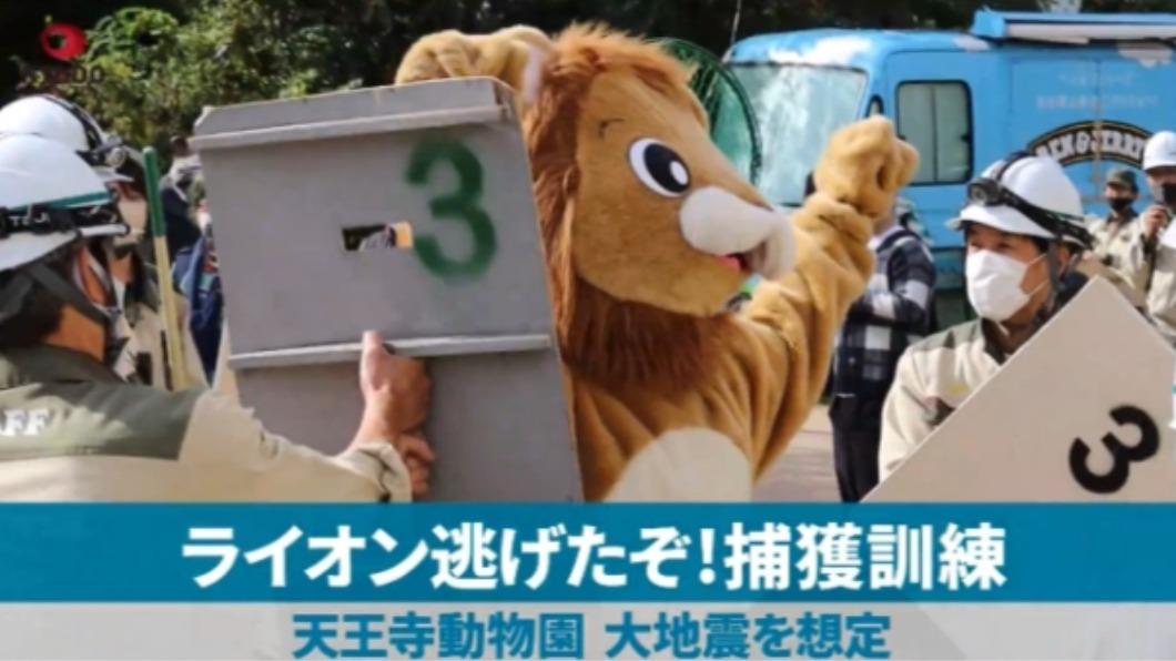 日本最Q地震演習!工作人員扮「在逃獅子」 拔腿狂奔還翹腳