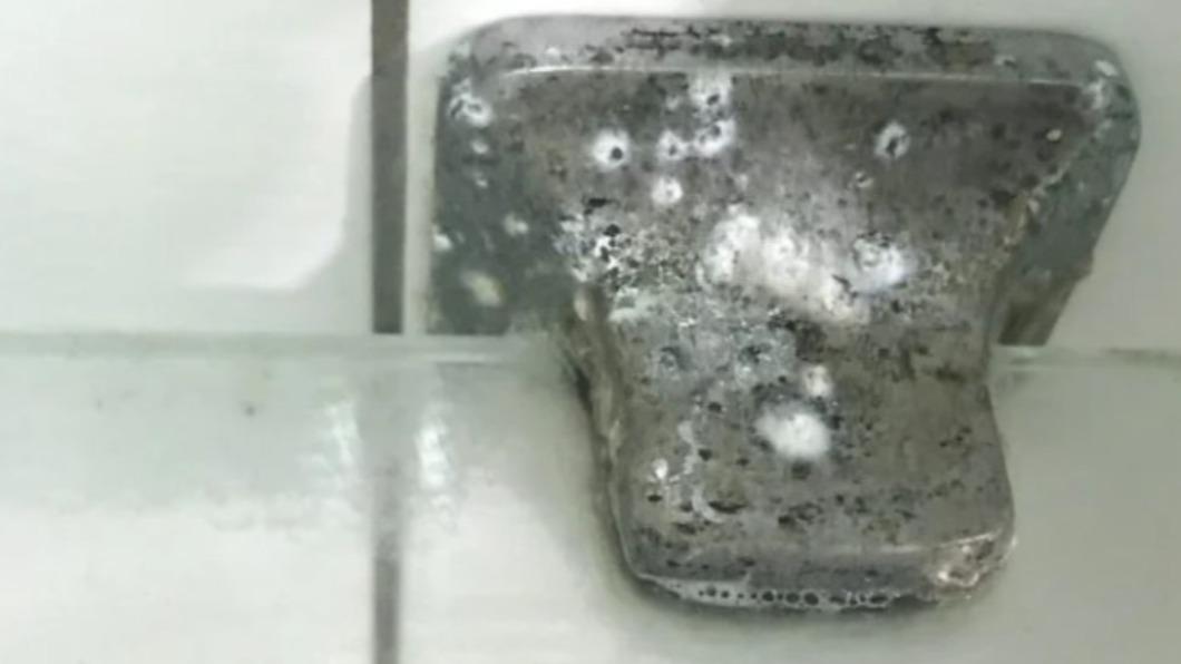 浴室淪霉斑溫床!她崩潰解約 驚見「房東秒招租還漲價」