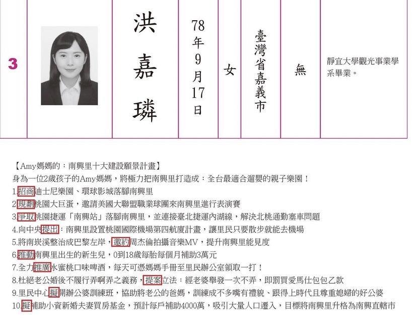 選舉公報。（圖／翻攝自蔡阿嘎IG）