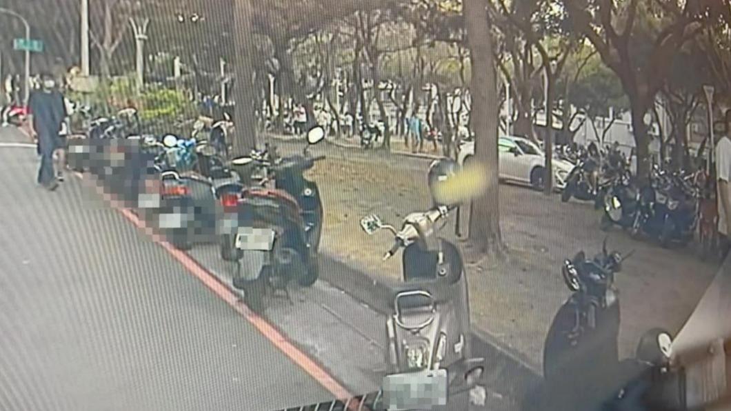 公園綠地被人停轎車。(圖/高雄人大小事)