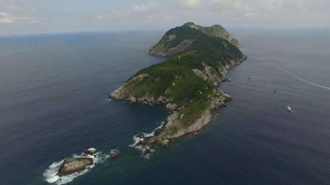 被詛咒的絕美海島!5千條蛇滿地爬 全家五口詭一夜滅門