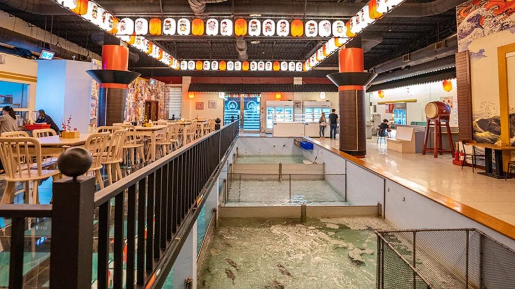 餐廳內可以現釣海水魚、龍蝦、紅蟳,釣到的魚貨有超過10種的料理方式。(圖/虎麗笑嗨嗨提供)