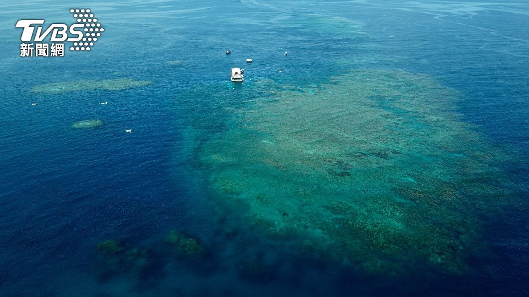 澳洲大堡礁白化嚴重 UN專家:應列入瀕危世界遺產名錄