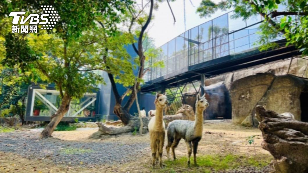 高雄壽山動物園改造完成 12/16重新開園試營運