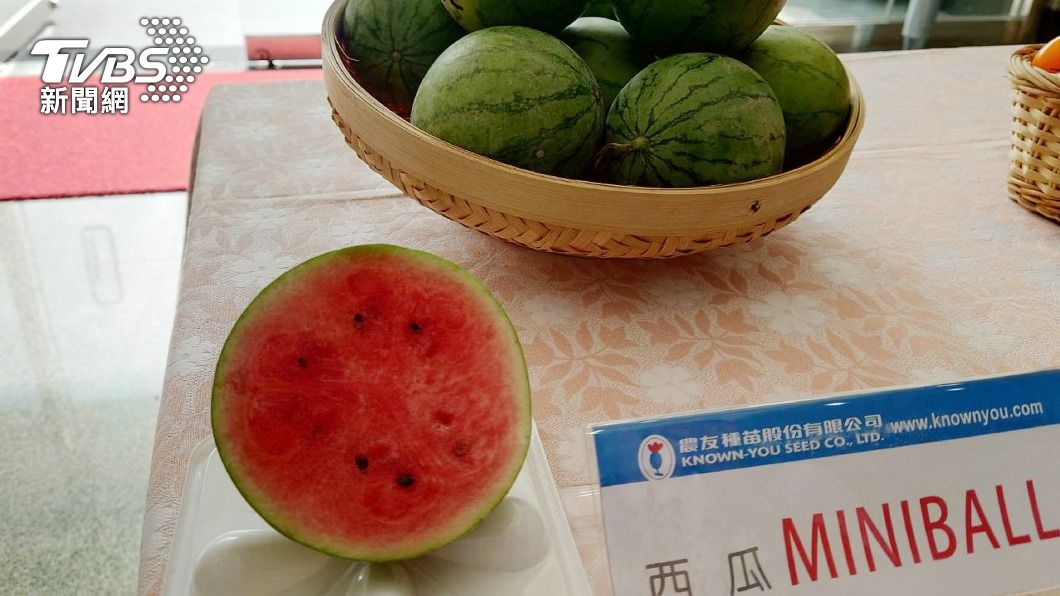 新品種紅肉小西瓜 瞄準小家庭、個人消費市場