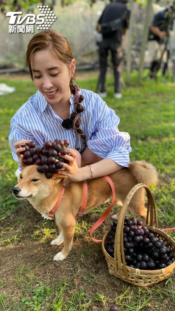 歐陽妮妮帶愛犬去葡萄園玩耍。(圖/TVBS)