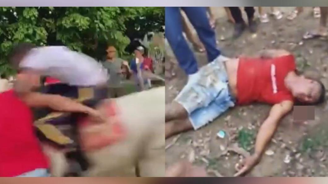 樂極生悲!賽馬贏了他找馬兒狂歡 下秒慘遭撞飛濺血