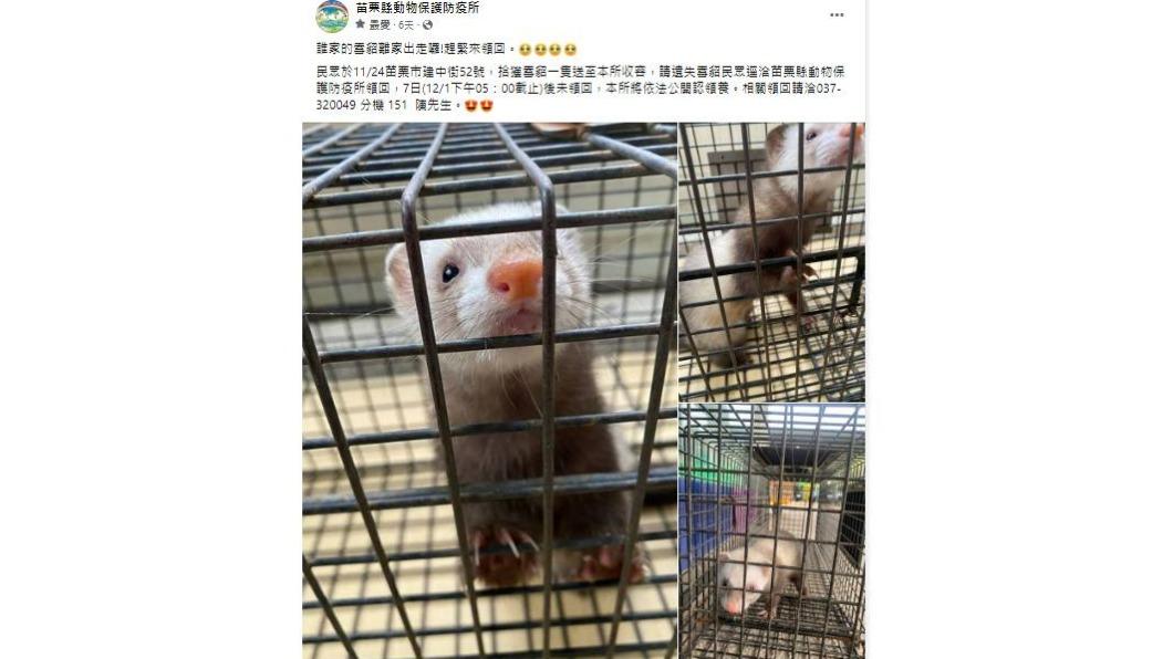 許多民眾致電洽詢領養。(圖/翻攝自苗栗縣動植物防疫所)