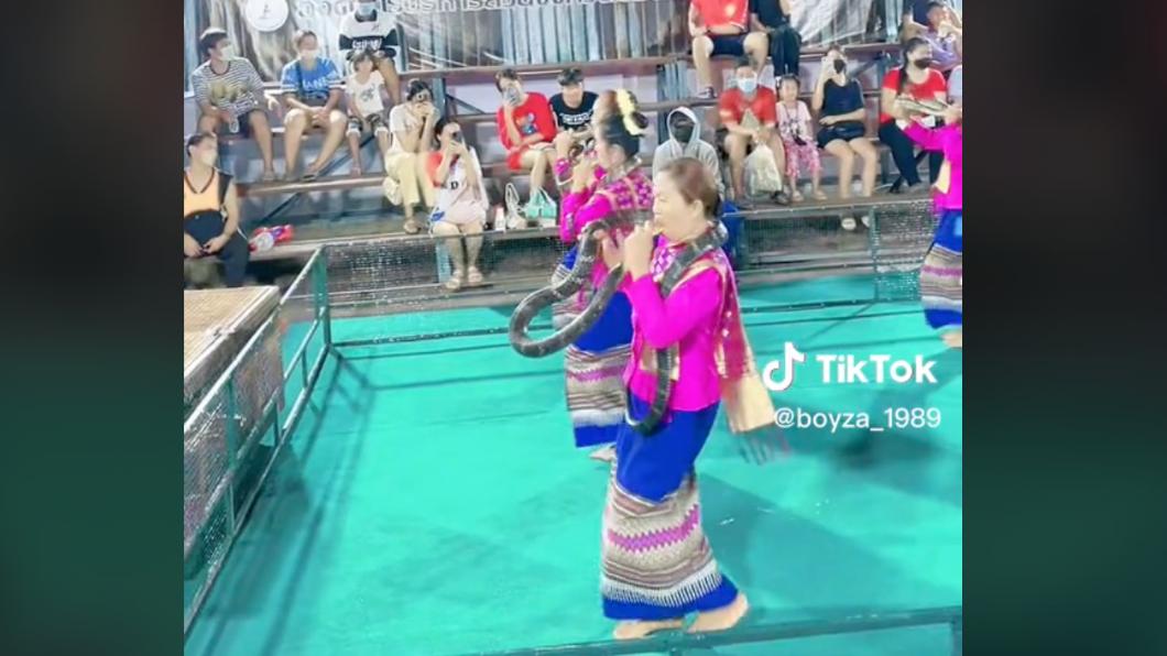 下秒就將毒蛇放入口中。（圖／翻攝自TikTok）