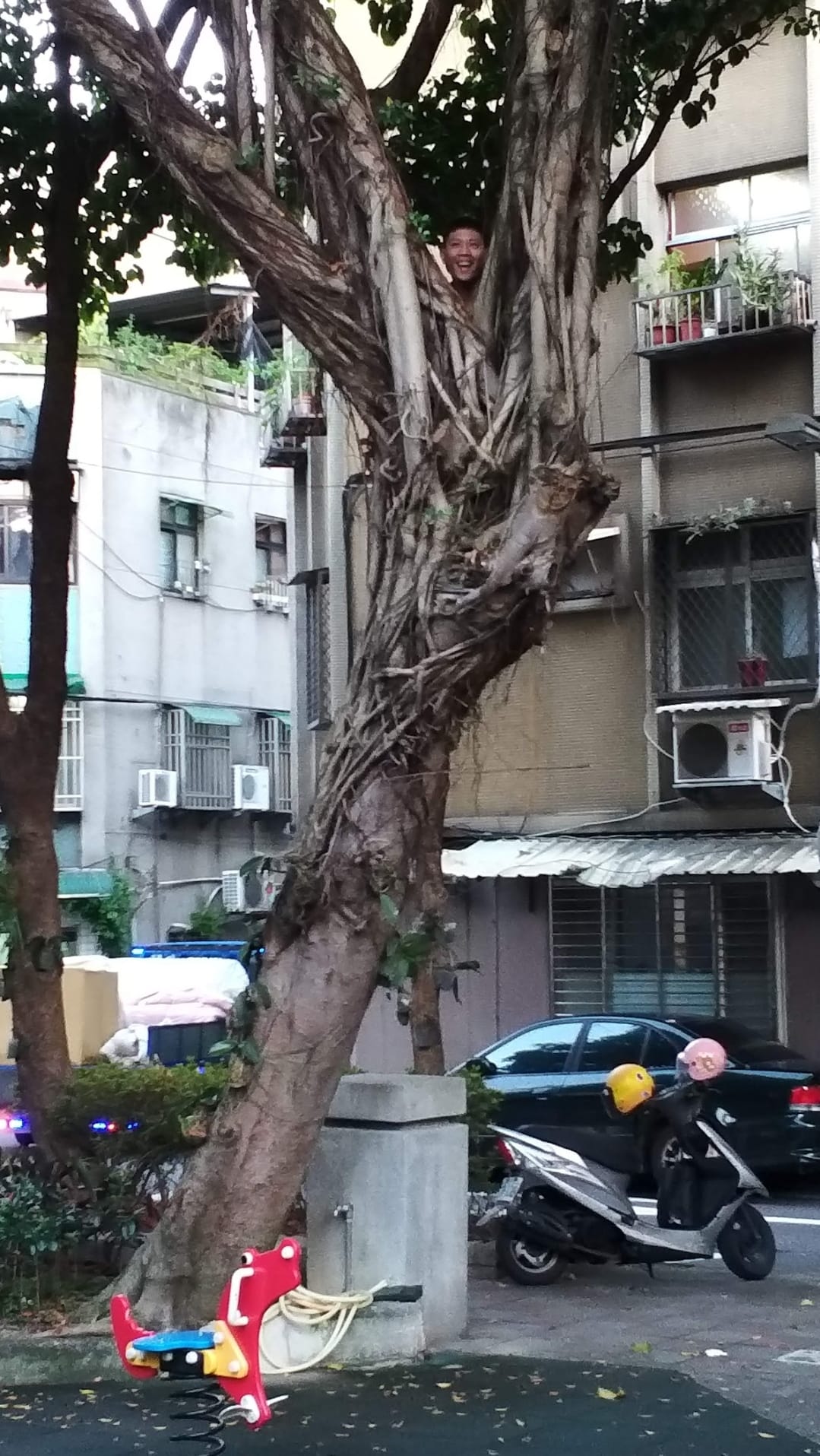 有網友笑稱是大兒子陪小兒子玩躲貓貓。(圖/翻攝自爆廢公社二館臉書)