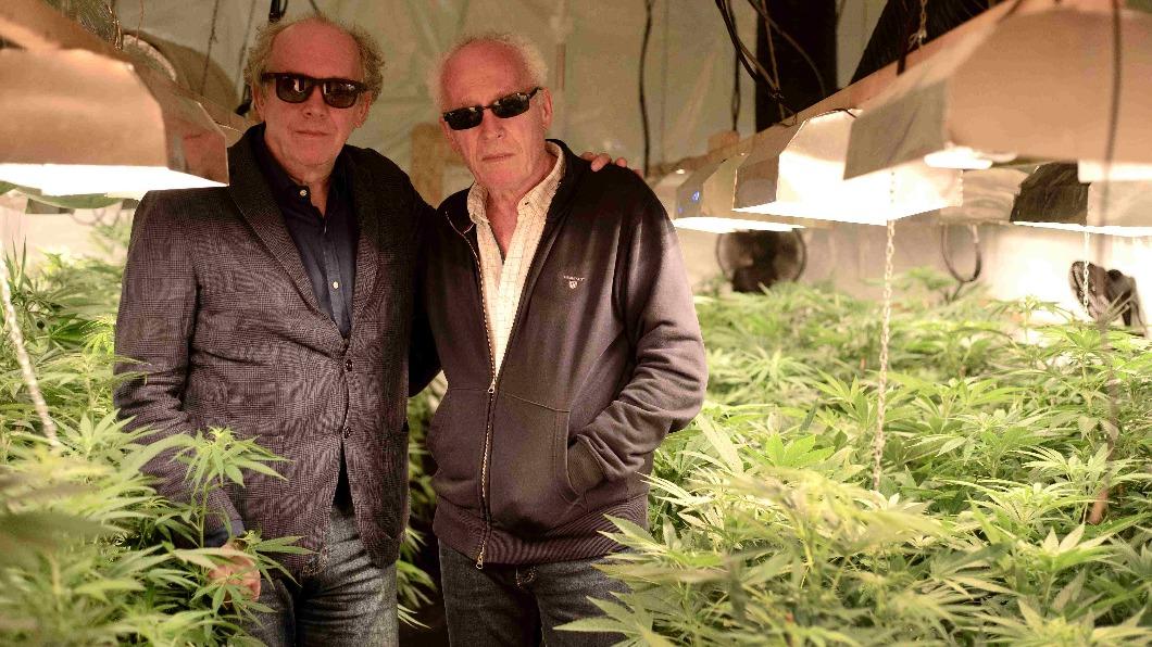 警方力挺種大麻　兩兄弟省下2500萬自豪「黑手黨也想包場」