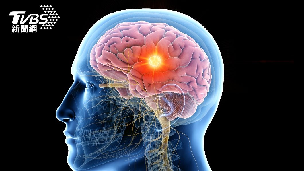 研究:大腦學習步驟會回溯 當下獎勵有助正確行為