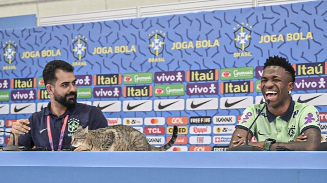 有網友表示貓很可憐，也有人表示小題大作。（圖／翻攝自 推特@ESPNFC）