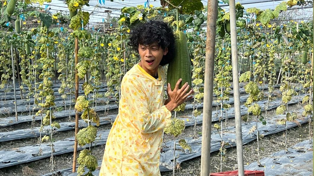 阿翔絲瓜棚下「幫脫衣服」遭制止　巴大雄：可不可放進去一下下