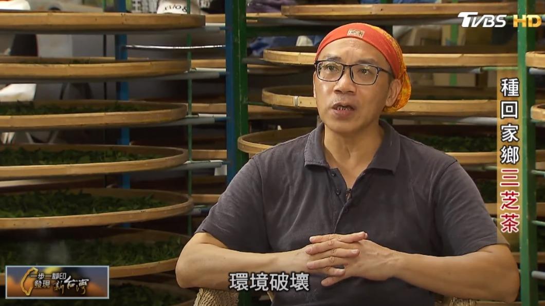 茶農粟益民(圖/TVBS)