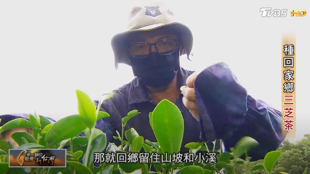 粟益民種茶(圖/TVBS)