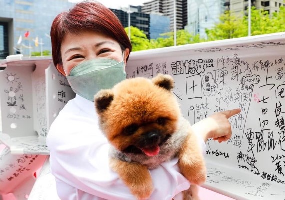 盧秀燕愛犬是一隻博美。(圖/翻攝自盧秀燕臉書)
