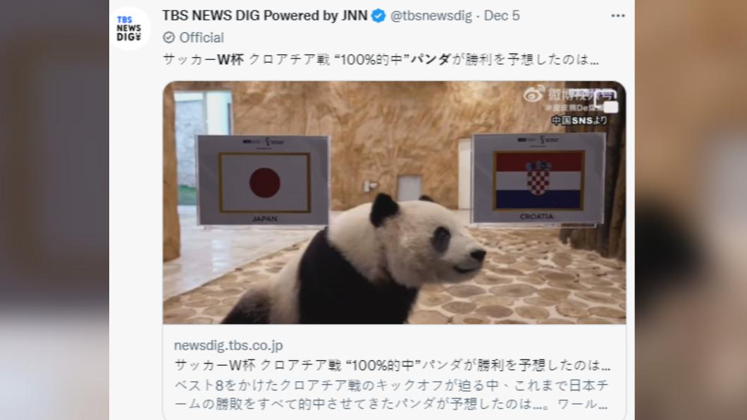 日媒指出大陸贈卡達的熊貓,神準預測日本賽事結果。(圖/翻攝自推特)