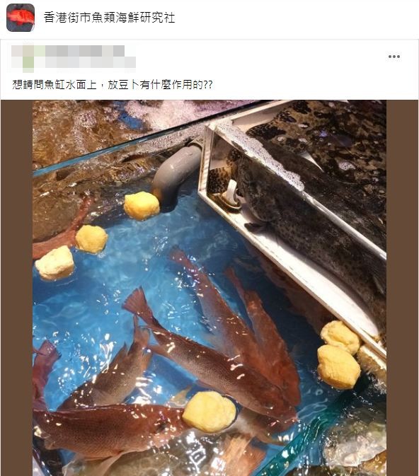 事後有專家解釋放上炸豆腐的原因。（圖／翻攝自臉書社團「香港街市魚類海鮮研究社」）