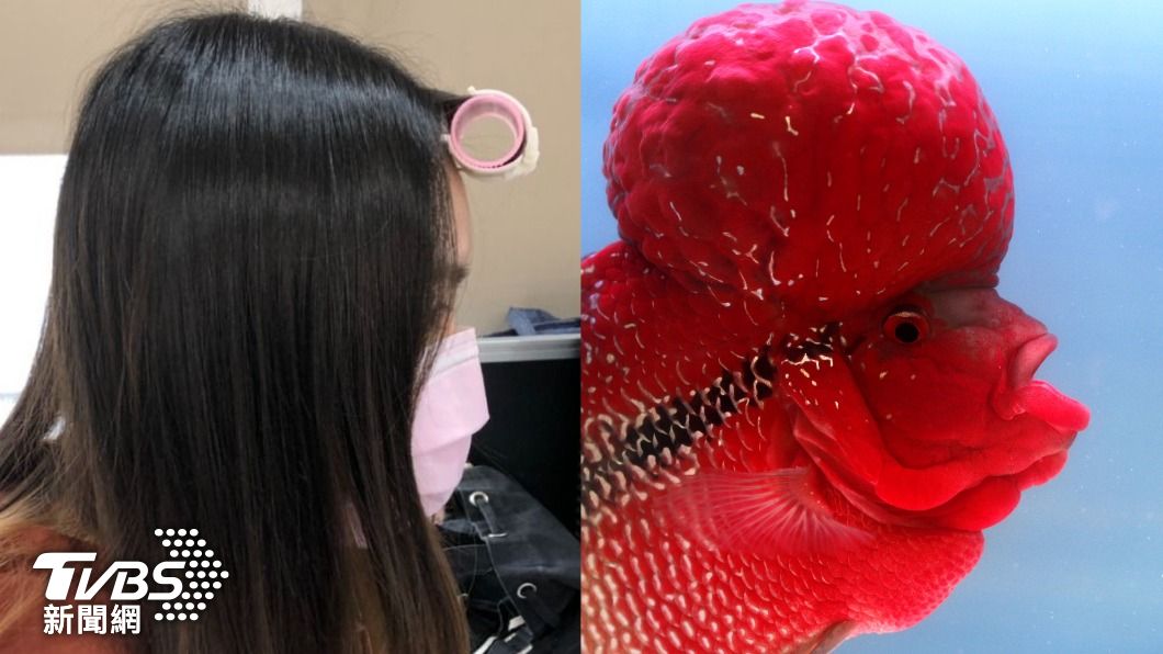 老婆夾髮捲趴趴走「好像羅漢魚」 女生也喊醜:台灣奇觀