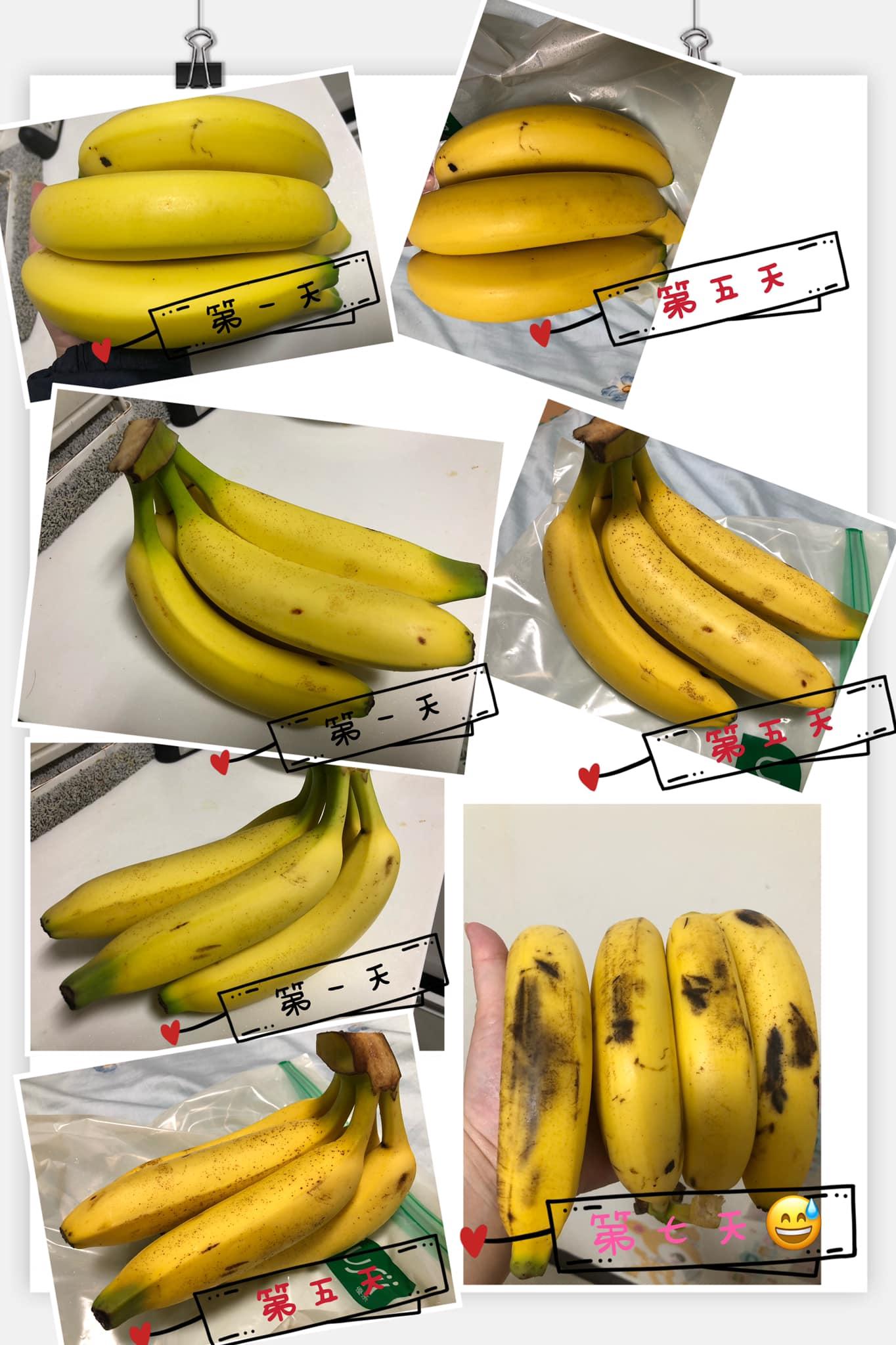 原PO分享一週紀錄。（圖／翻攝自Costco好市多 商品經驗老實說）