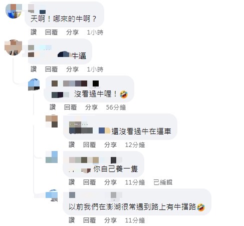 許多網友對牛群逼車感到震驚。 (圖/翻攝自路上觀察學院)