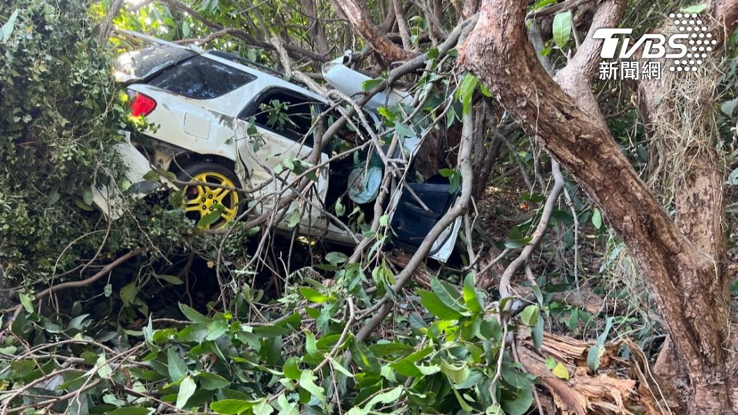 轎車閃貓衝2米深蓮霧園…疑天亮才被發現　副駕男傷重亡