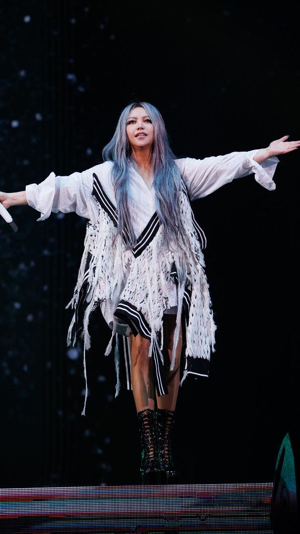 張惠妹演唱會打破紀錄。(圖/聲動娛樂提供)