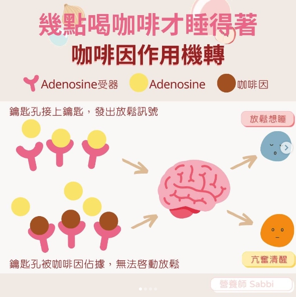 咖啡因不讓你睡的機制。（圖／翻攝自營養師Sabbi IG）