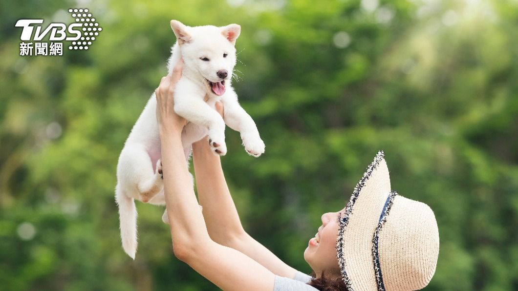 俗話說：「狗是人類最好的朋友」。（示意圖／shutterstock達志影像）