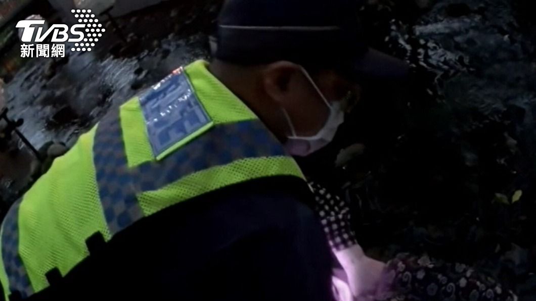 員警將阿嬤公主抱上岸。(圖/TVBS)