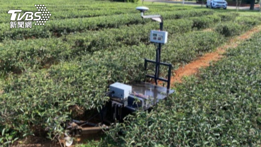 機器人助茶園除草無人化 閃避障礙不傷樹根