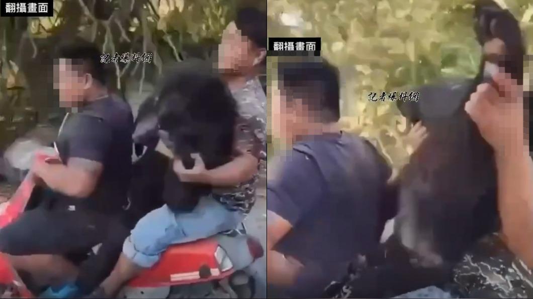 黑熊遭剖肚掏臟!獵手譏笑「三貼運屍」 檢怒上訴:非原民文化