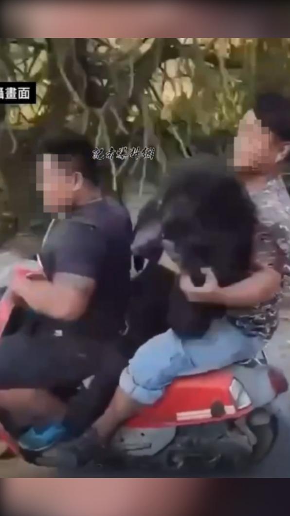 男子戲弄熊屍。（圖／翻攝自記者爆料網）