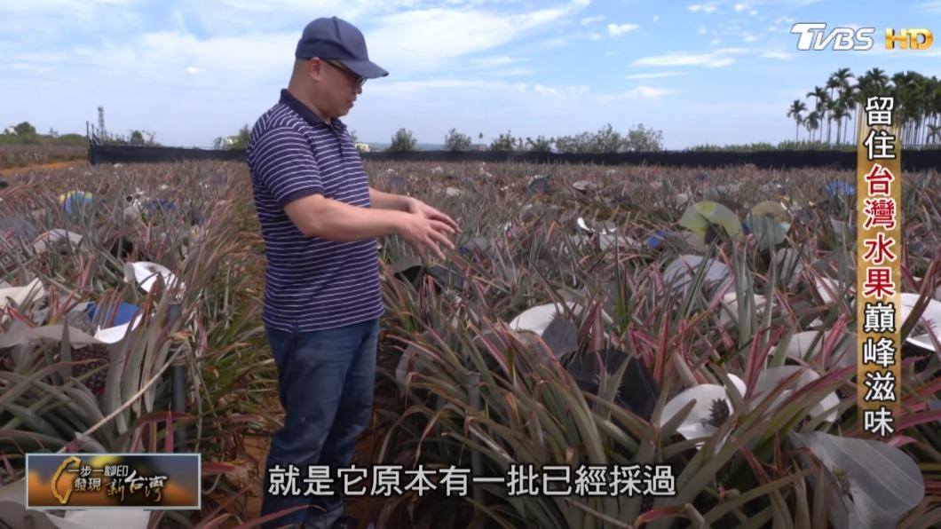 果乾職人洪瑞澤(圖/TVBS)