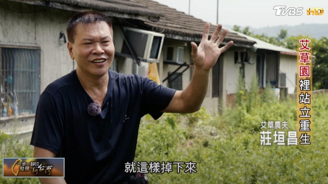 艾草農夫莊垣昌(圖/TVBS)