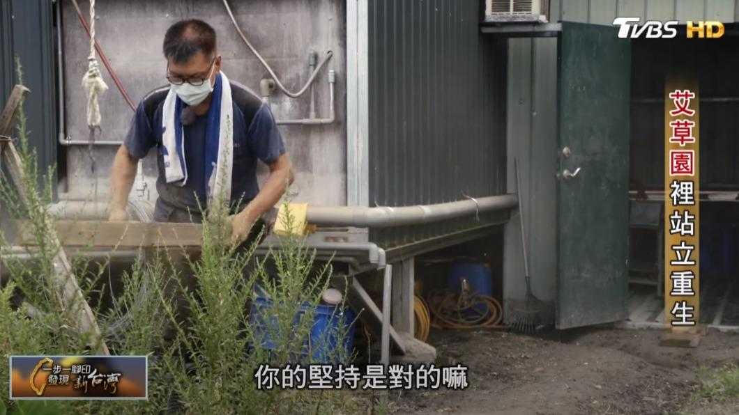 艾草農夫莊垣昌(圖/TVBS)