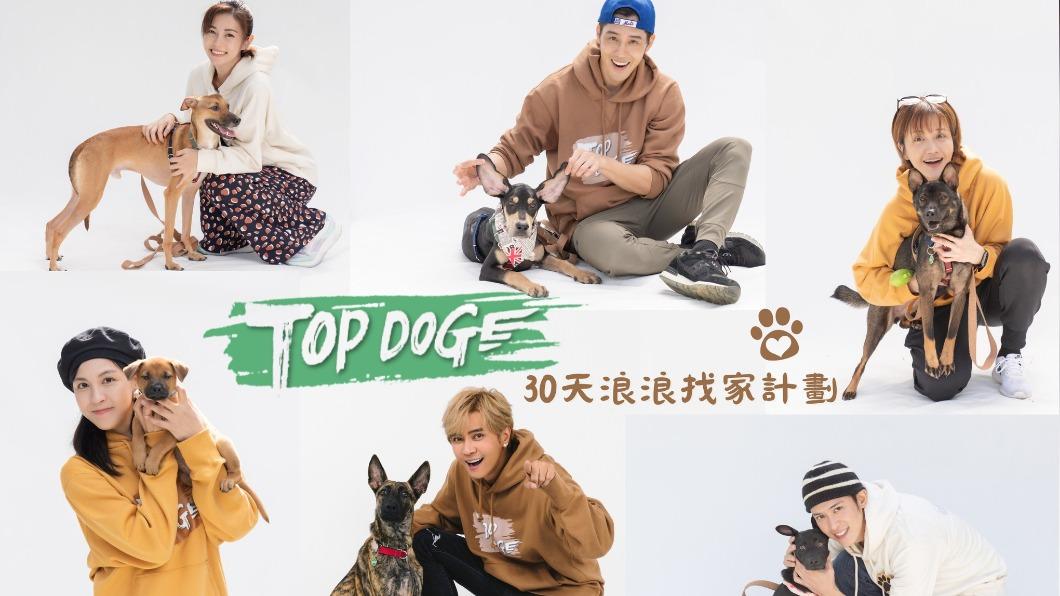 6隻浪浪夥伴與6位守護者,感覺是會眼淚潰堤的前奏。(圖/翻攝自TOP DOG 回家臉書)