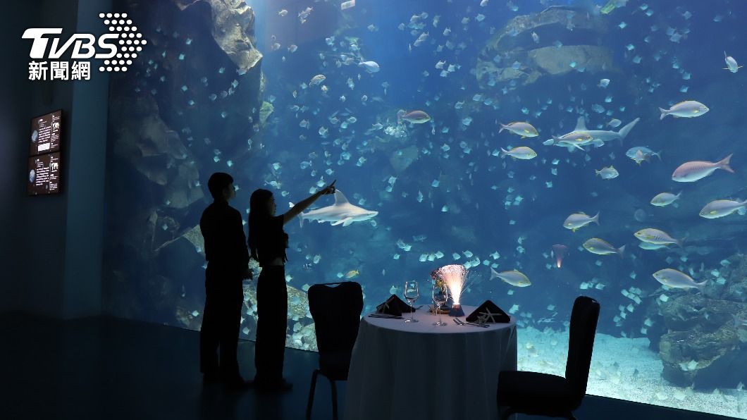 迎接2023!全台唯一海洋系跨年在桃園 夢幻水族前啖美食