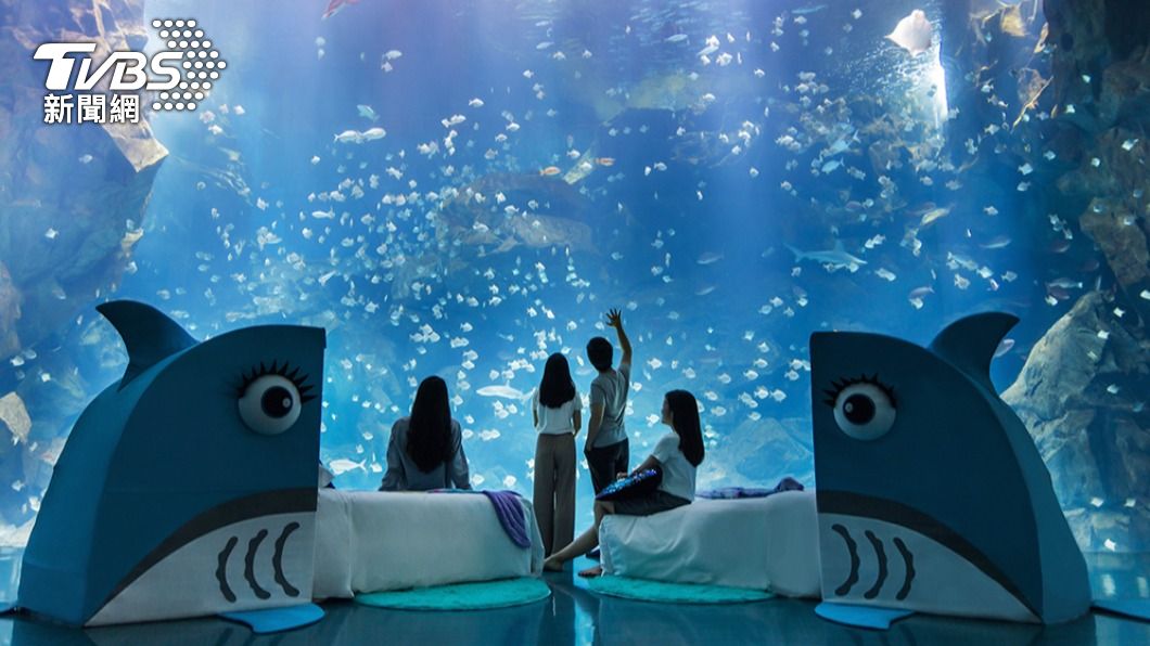 「12/30宿海夜未眠」專案,除了在水族館前用餐,晚上再與魚群共眠。(圖/業者提供)