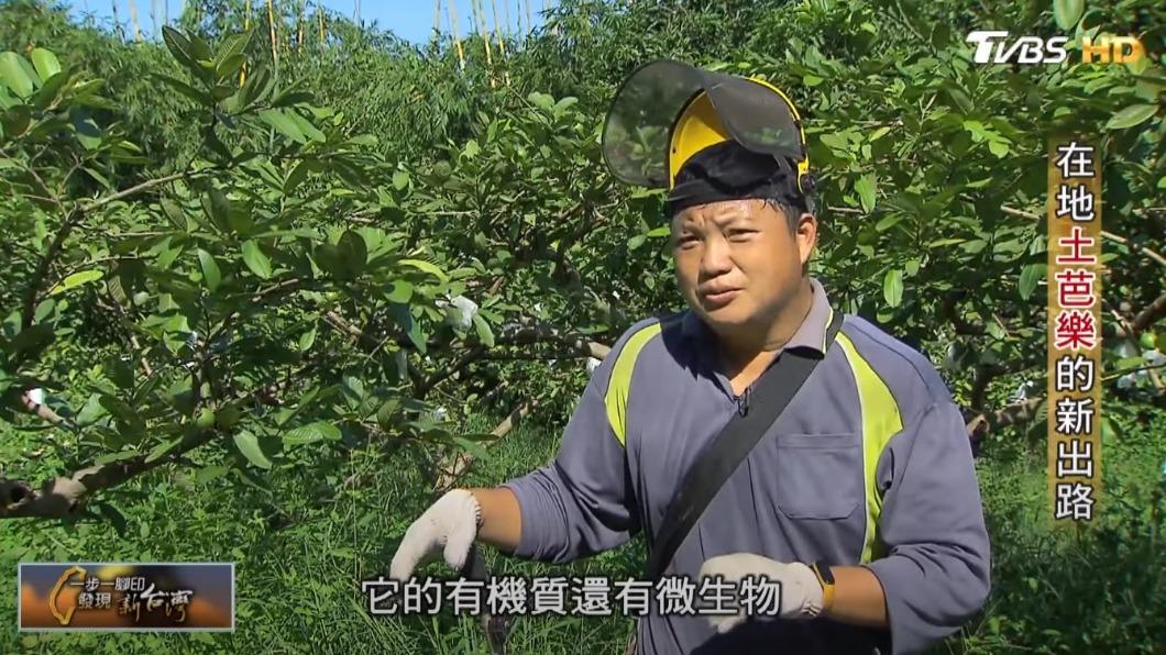 芭樂農盧定楠（圖／TVBS）