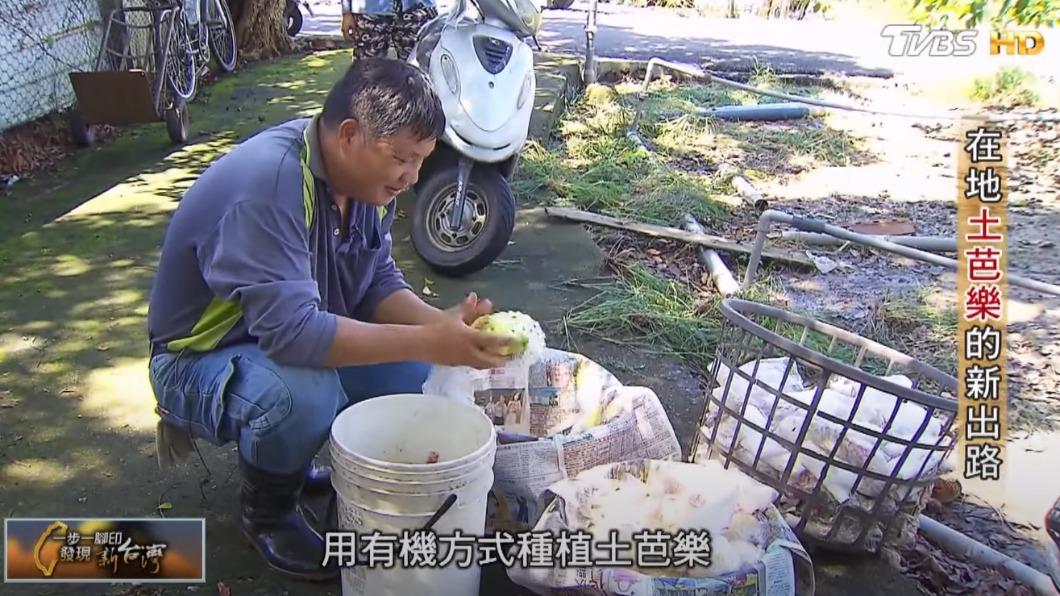 有機種土芭樂（圖／TVBS）