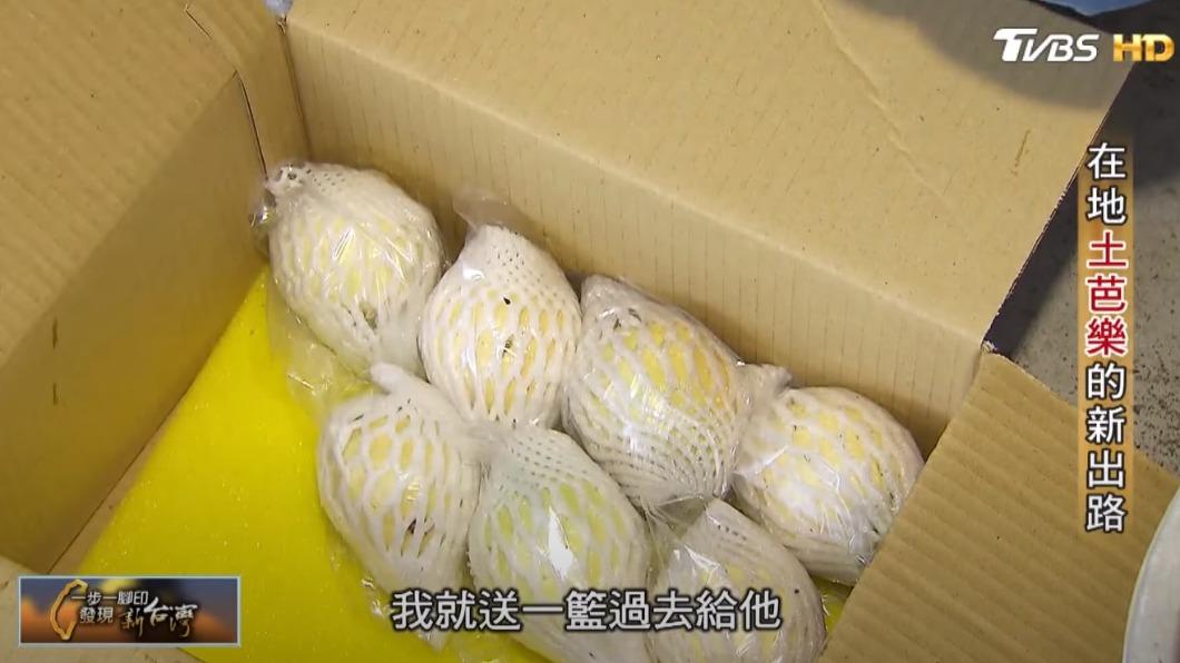 土芭樂（圖／TVBS）