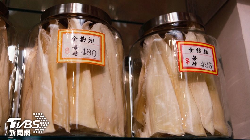 不再讓鯊魚因饕客受害 美國通過歷史性魚翅禁令