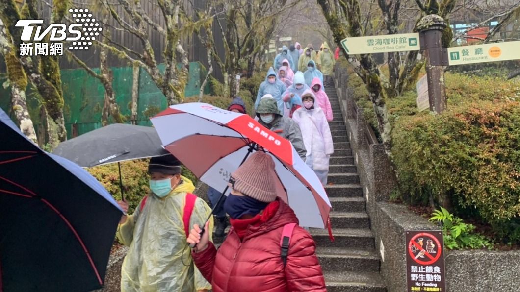 入夜望下探0度!上千遊客湧入太平山 盼遇首場雪景