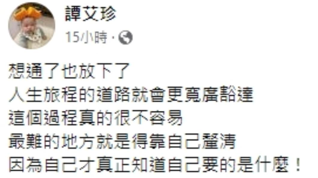 譚艾珍60字洩心聲。(圖/翻攝自譚艾珍臉書)