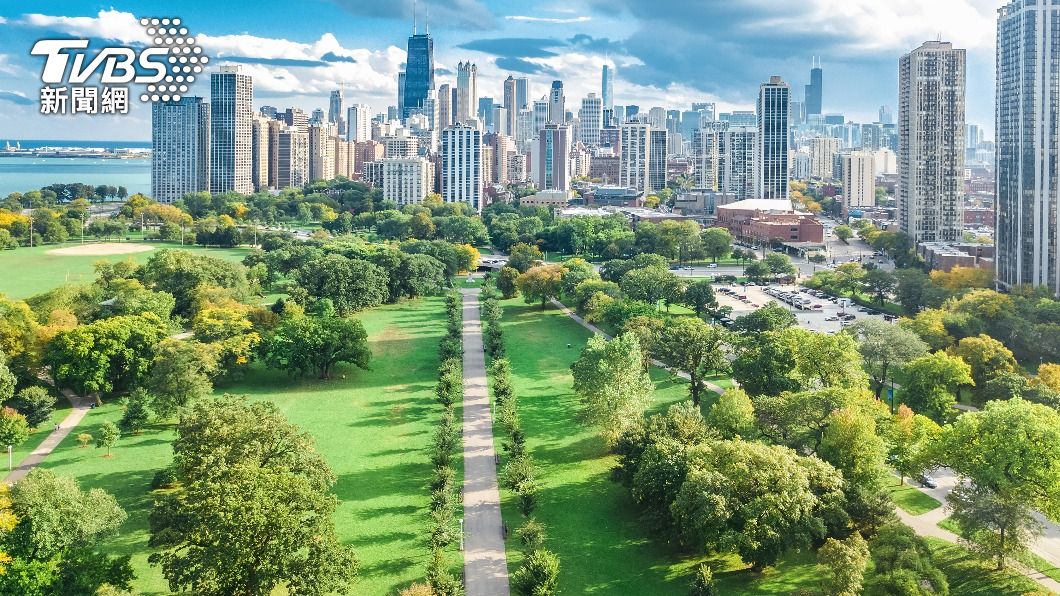 增加樹木覆蓋率和綠地可以減少槍枝暴力,尤其是在貧困社區。(示意圖/shutterstock 達志影像)