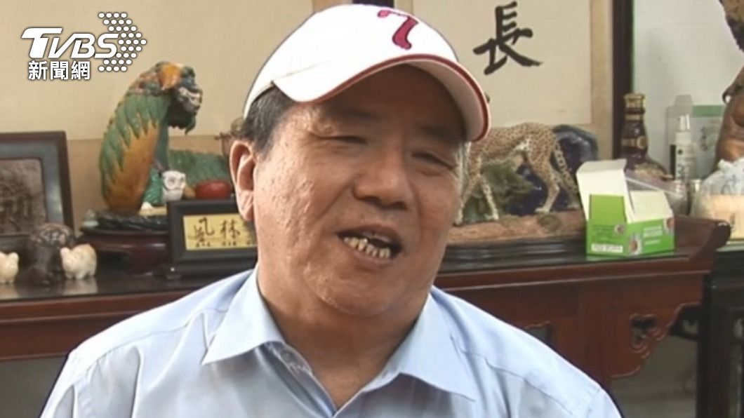 蔡啟芳要蔡英文當太上皇,每天遊山玩水。(圖/TVBS資料畫面)